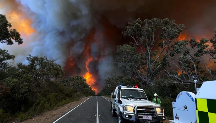 Incendiu în Parcul Naţional Grampians, Australia. Sursa foto: Profimedia Images