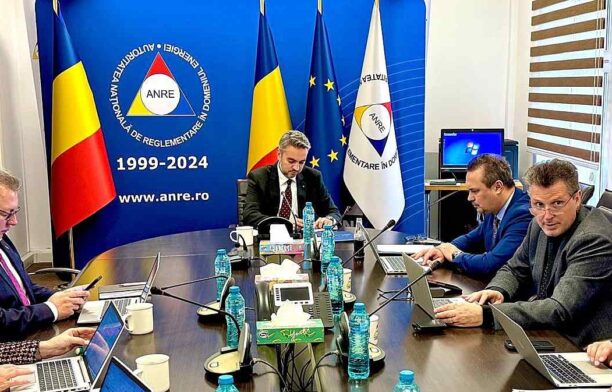 Conducerea ANRE. foto: Facebook, ANRE