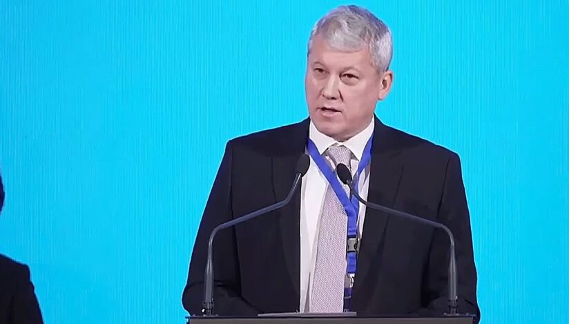Cătălin Predoiu, președinte interimar PNL / captura video
