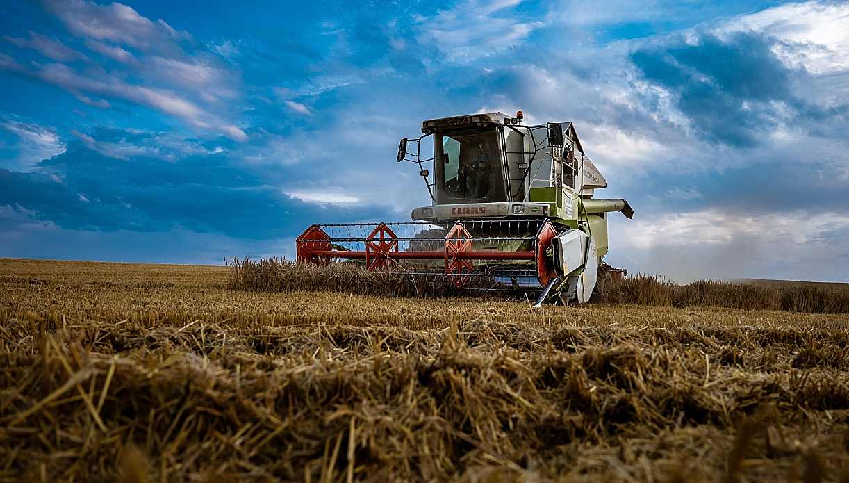 Firmele românești livrează pe datorie și tot mai multe intră în insolvență. Cel mai mare șoc: în agricultură