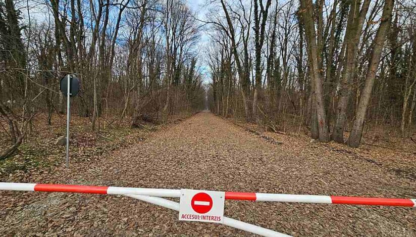 Drum forestier în Pădurea Băneasa / Facebook, Asociația Parcul Natural Văcărești