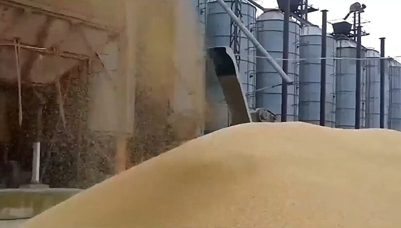 Depozit cereale Ucraina / captura video