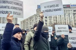 Protest Federaţia Sindicatelor Silva / Facebook