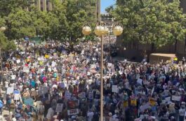Proteste anti Trump / captura video