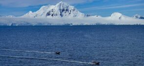 Ghețari în Antarctica / Pixabay