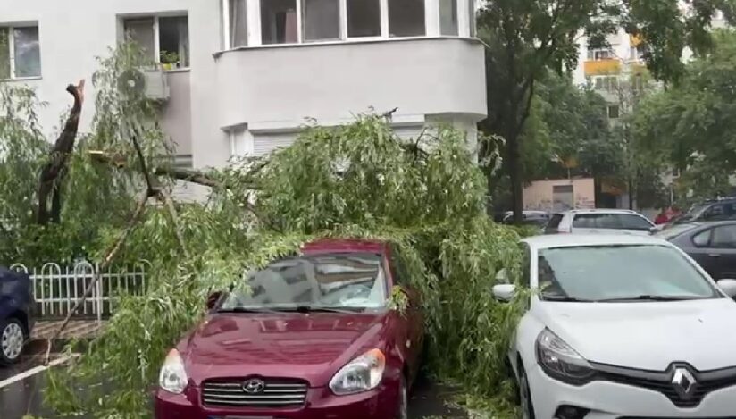 Temperaturi de 60 de grade la sol și vijelii devastatoare în vestul țării