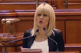 Elena Udrea / arhiva