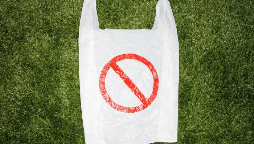 3 iulie, Ziua internațională fără pungi de plastic