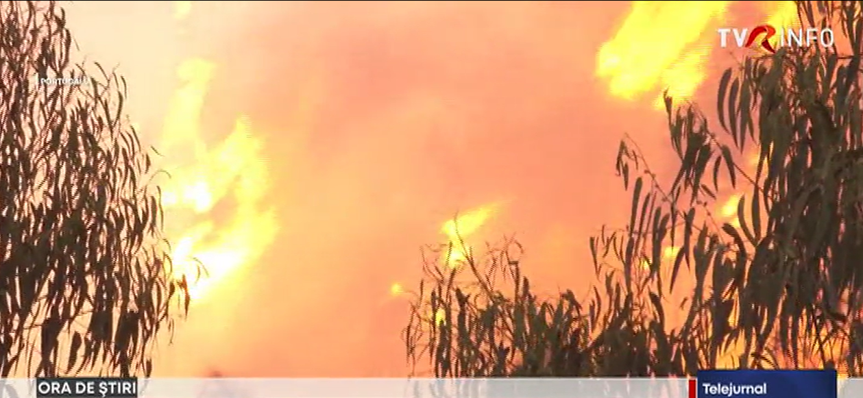 Europa în flăcări: Incendii uriașe în Spania, Portugalia și Albania