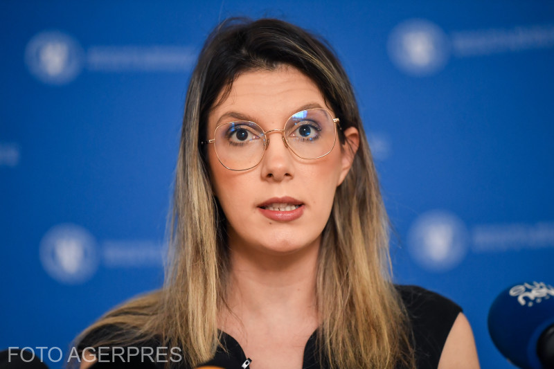 Diana Buzoianu: Am avut banii necesari pentru a planta sute de hectare de păduri urbane şi pur şi simplu nu au fost accesaţi