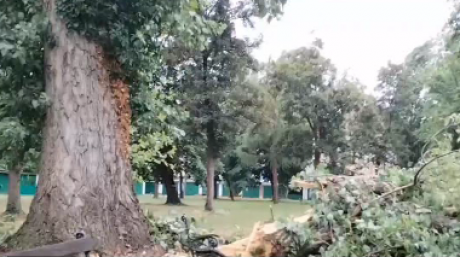 ANM: Cod galben de vânt în zone din 11 judeţe, pe parcursul zilei de miercuri