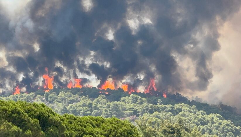 Un incendiu de vegetație a izbucnit în regiunea Halkidiki. Mai multe echipe de pompieri acționează pentru a ține focul sub control