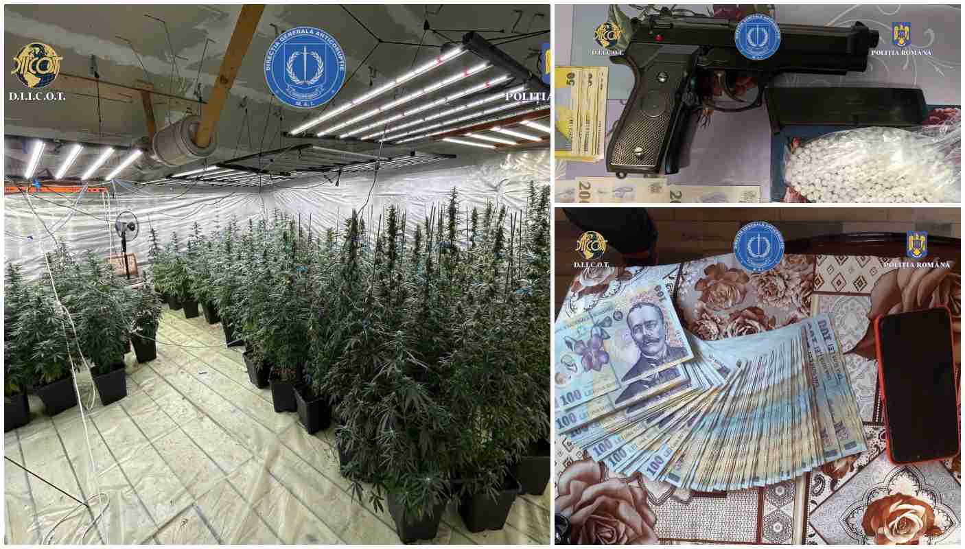 Poliţist dâmbovițean prins că a cultivat canabis pentru comercializare