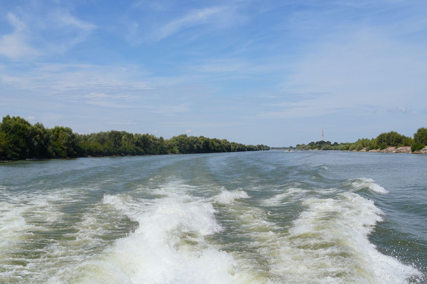 Ciprian Șerban: Au fost depuse două oferte în cadrul licitației pentru proiectarea și execuția proiectului Fast Danube 2