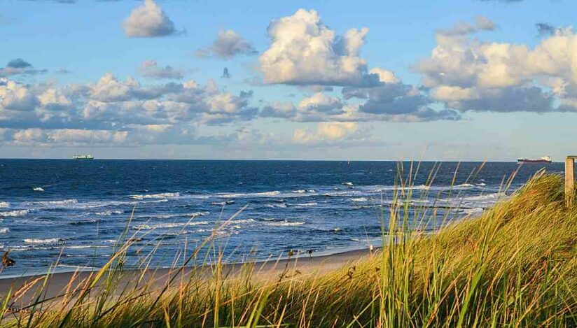 226 de pete de petrol și combustibili detectate în ultimii patru ani în Marea Neagră. 55 dintre ele, în arii protejate