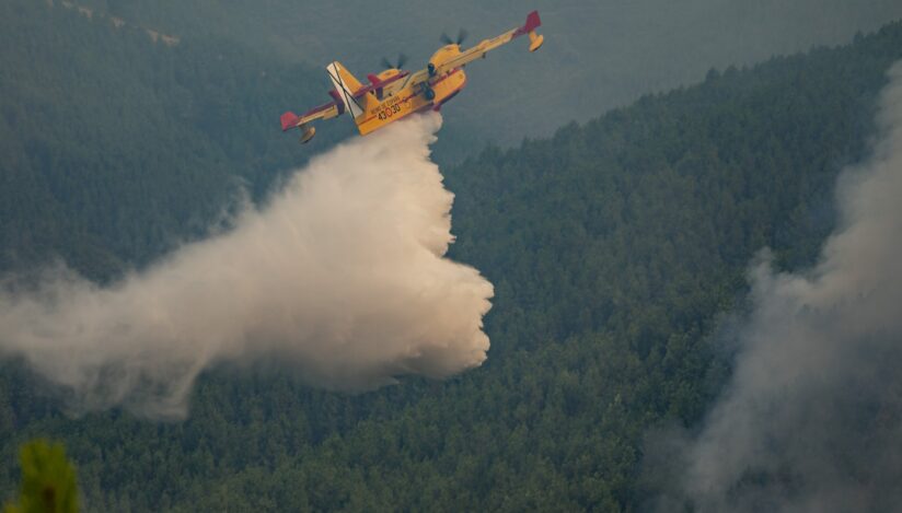 Principalele incendii de pădure şi vegetaţie din Spania şi Portugalia au fost stabilizate