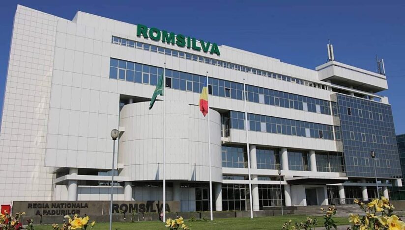 Ministerul Mediului: 24 de persoane candidează pentru funcţia de director general interimar al Romsilva