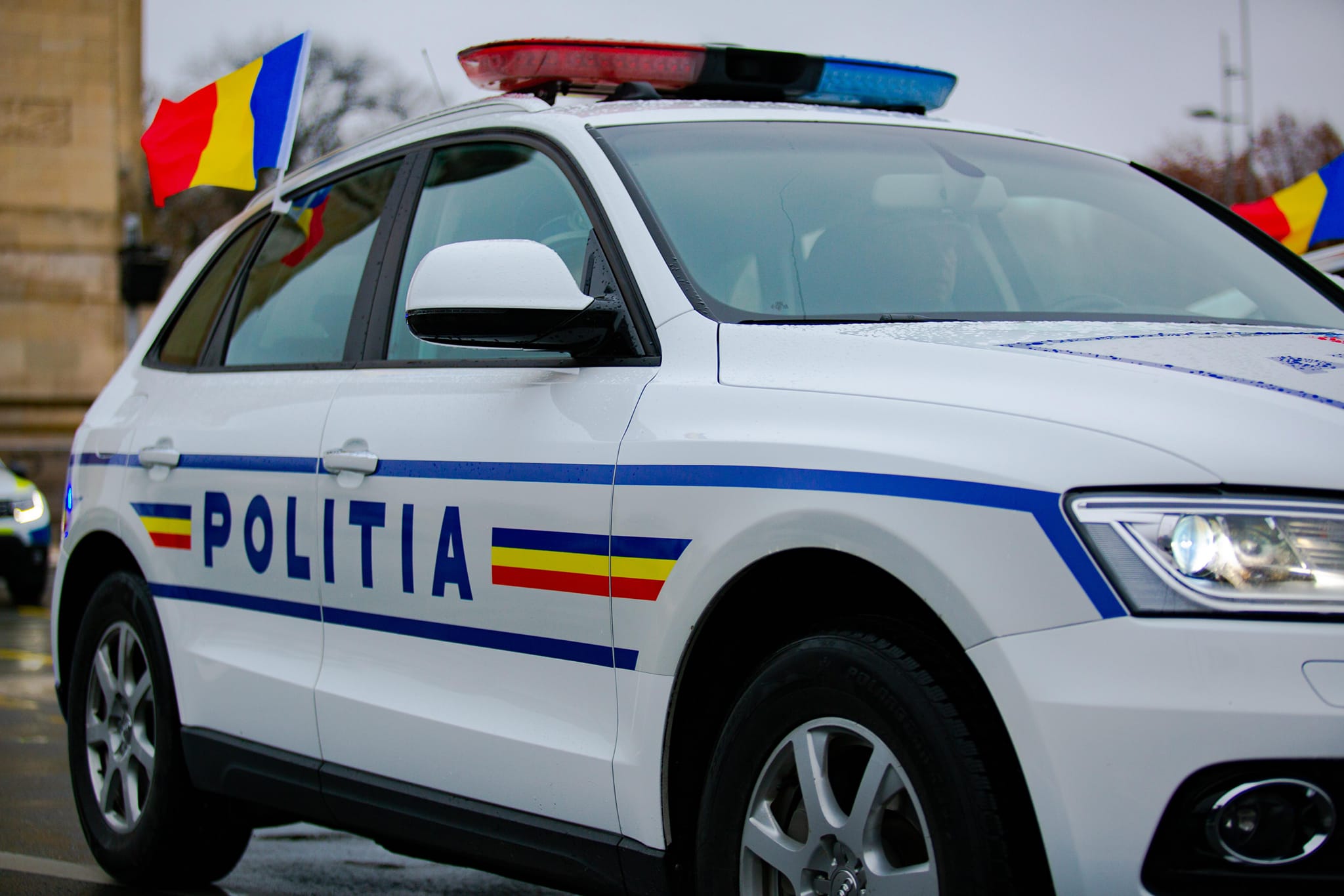 Sora fostului ministru Carmen Dan a fost plasată în arest la domiciliu. Este cercetată într-un dosar de înșelăciune