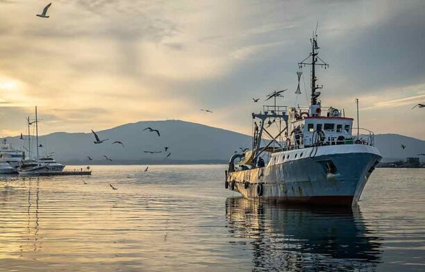 Pescuit oceanic. foto: Pixabay