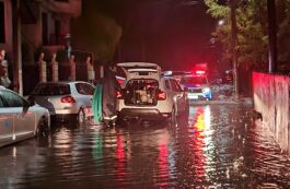 Peste 10.000 de consumatori fără electricitate, copaci doborâţi de vânt în mai multe zone din Prahova