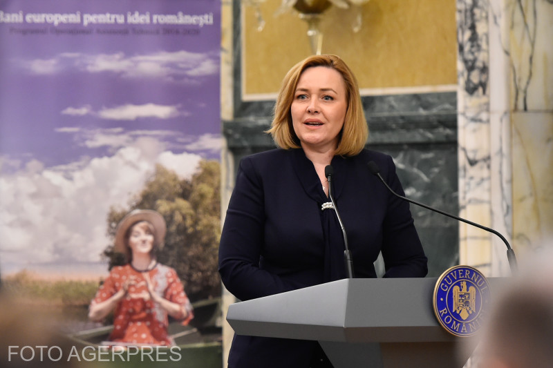 Fostul ministru Carmen Dan, audiată în calitate de martor într-un dosar de înșelăciune. Printre suspecți s-ar afla și sora sa