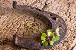 6 din 10 români consideră că grupuri secrete controlează lumea. De ce cred oamenii în teorii conspiraționiste și magie