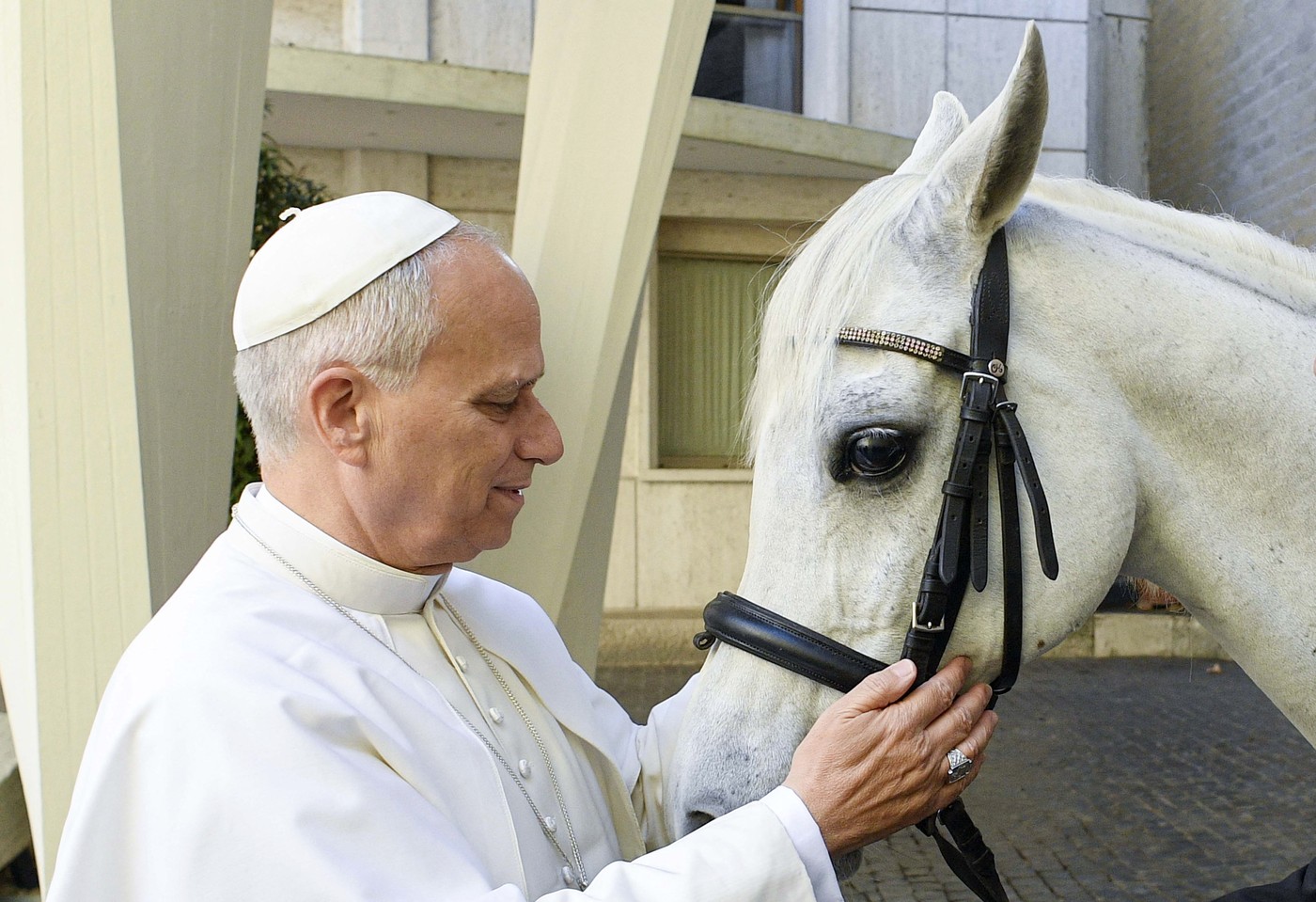 Papa Leon al XIV-lea a primit un pursânge arab