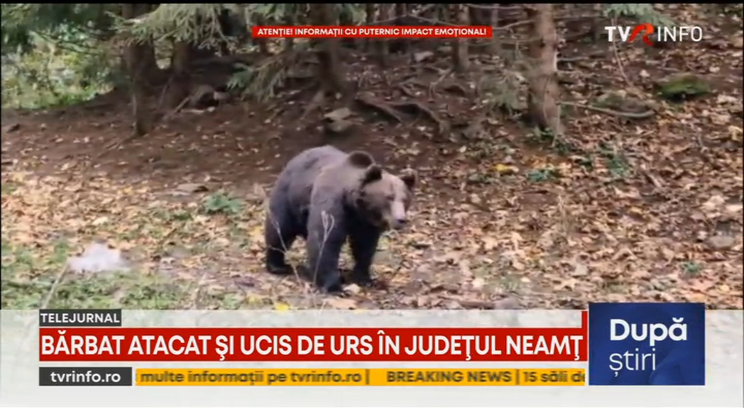 Bătrân găsit mort pe un deal, la Bicaz-Chei. Pe corpul bărbatului s-au descoperit urme de urs
