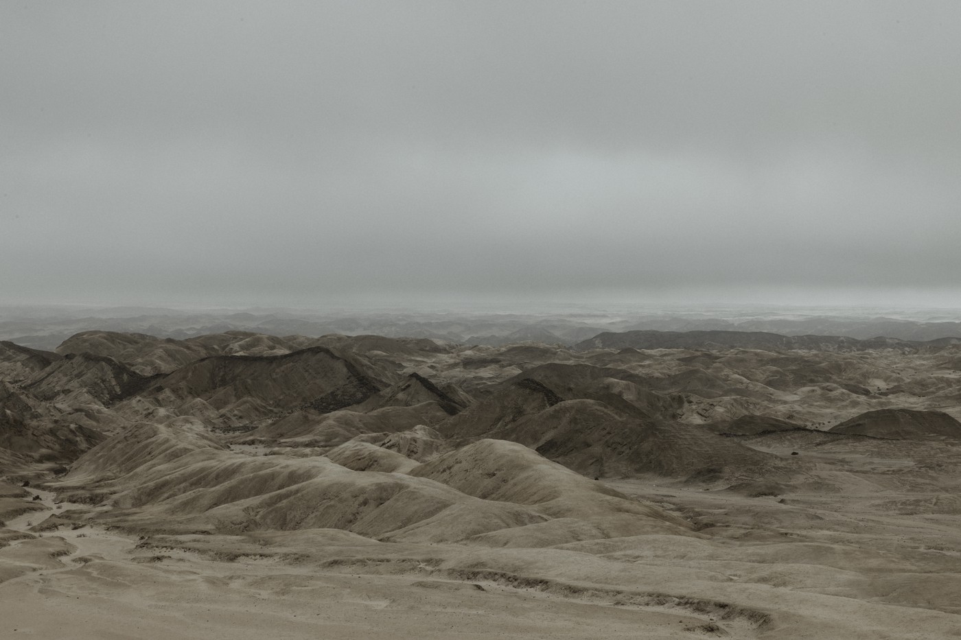 Cultivarea strugurilor în deșert: Un vin premiat este produs într-unul dintre cele mai aspre climate din lume