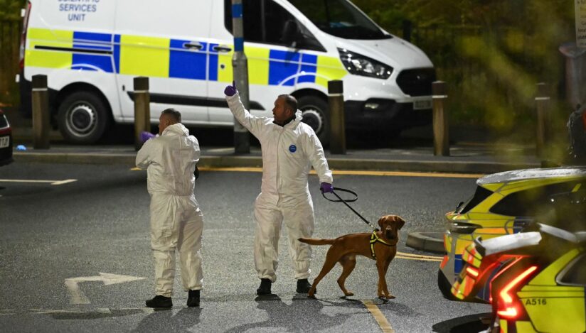 Nouă persoane înjunghiate într-un tren din Marea Britanie. Poliţia a arestat doi suspecţi