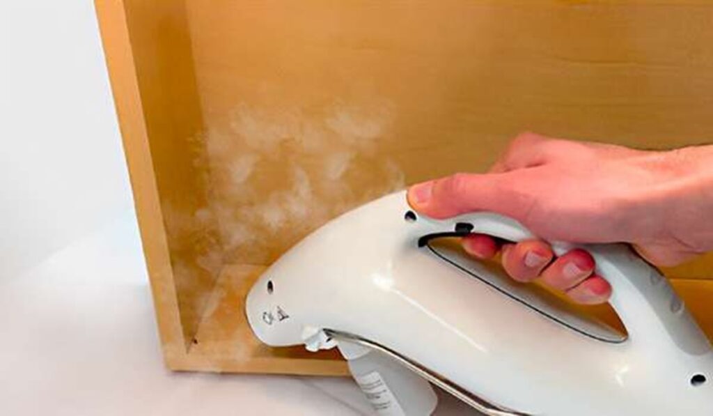 (P)Ploșnițele de pat scapă de sub control: Metoda profesională, ecologică și testată științific care elimină infestarea fără chimicale