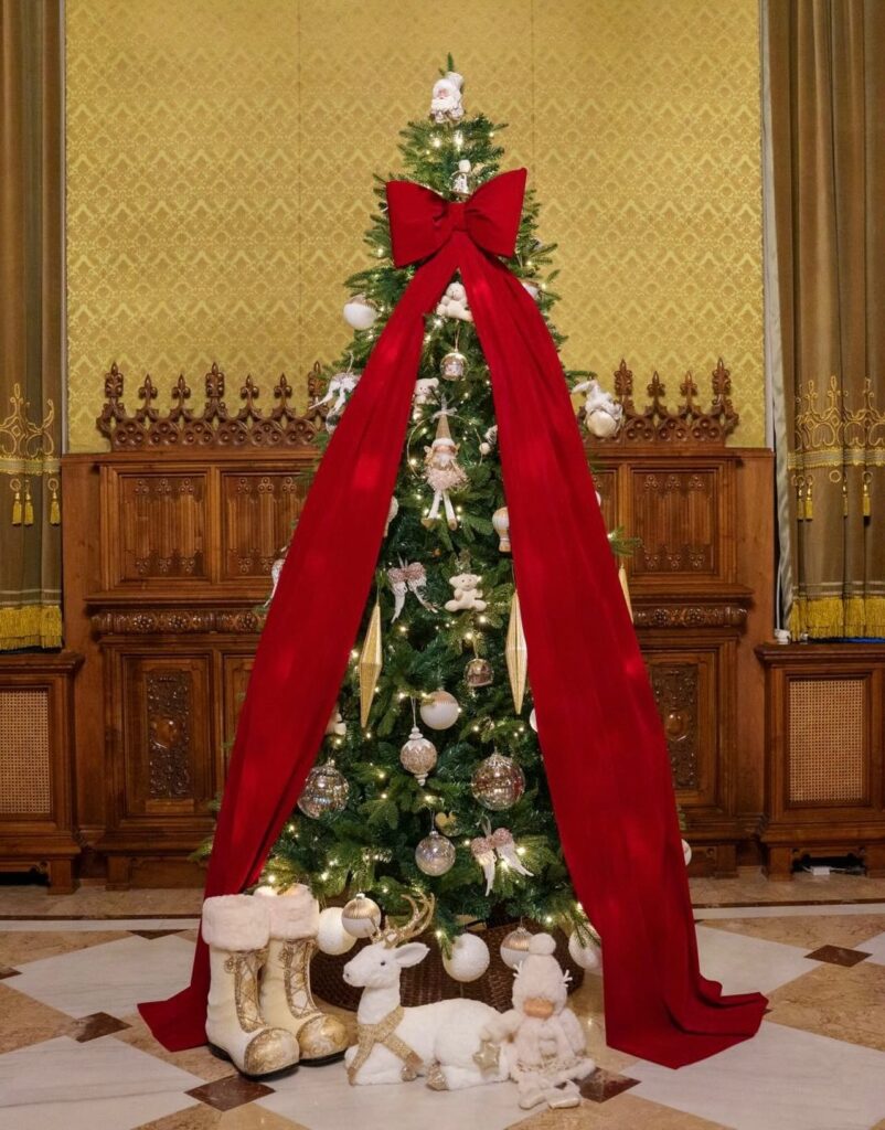 Preşedintele Nicuşor Dan – mesaj de Crăciun: Să ne regăsim liniştea sufletească, puterea de a fi mai buni, mai înţelepţi