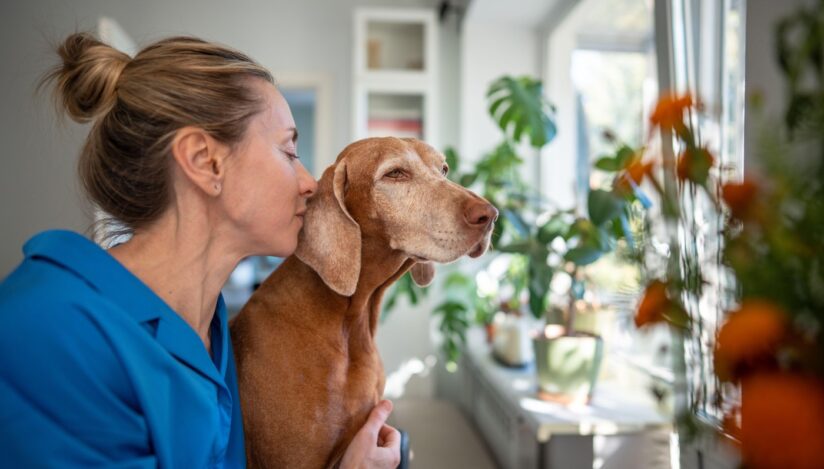 Divorțul te lasă singur. Un animal de companie te învață să trăiești din nou