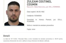 Al treilea suspect în cazul uciderii milionarului din Sibiu, depistat în Bali, este adus în ţară