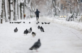 DSU: Măsuri la nivel central, judeţean şi local în contextul avertizărilor meteorologice