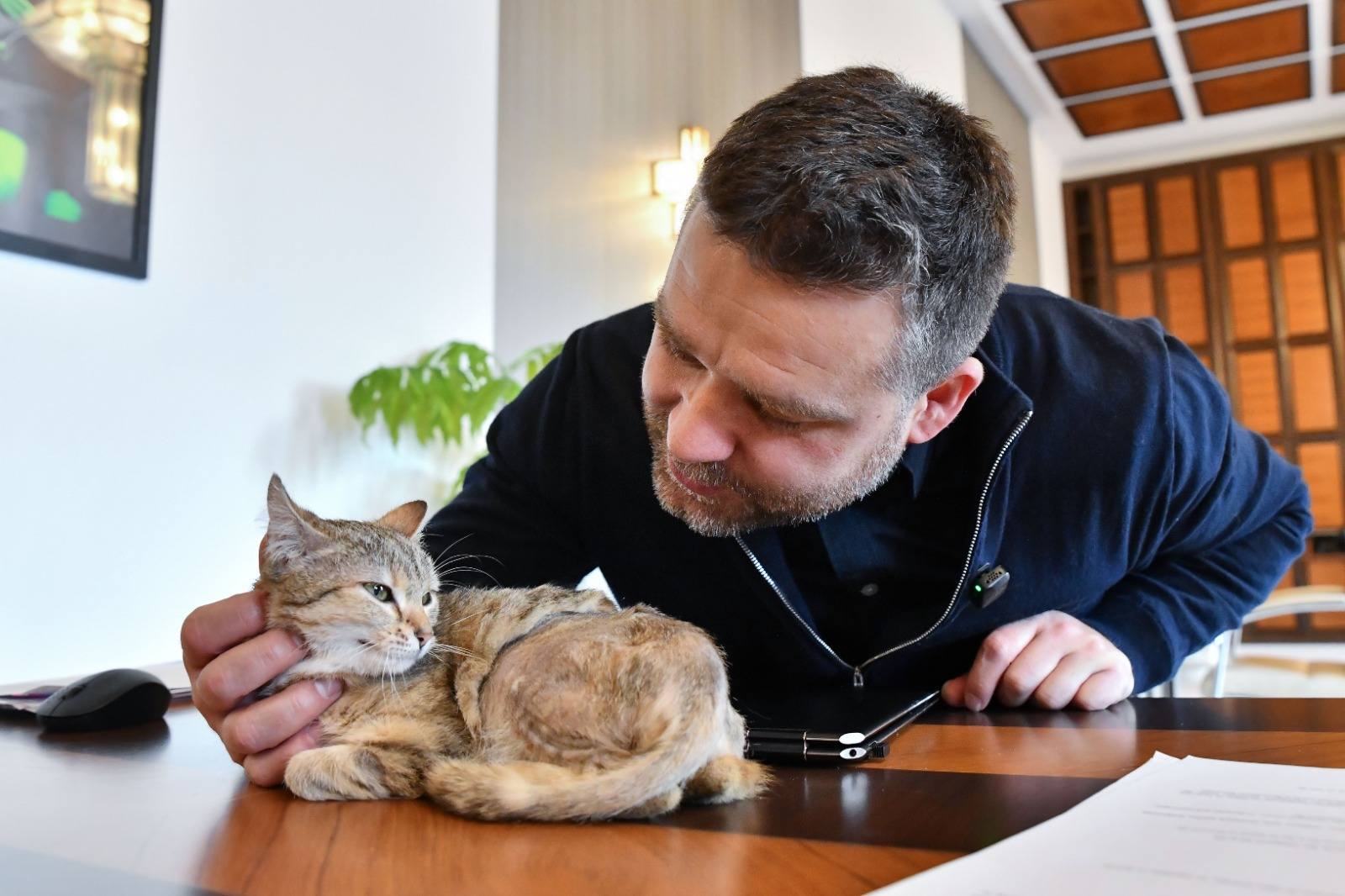 Ciprian Ciucu va împărţi biroul de la Primăria Capitalei cu o pisică operată în urma unui accident