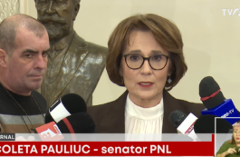 Ilie Bolojan, despre neplata primei zile de concediu medical: Este tranzitorie şi ţine cont de realităţile pe care le avem