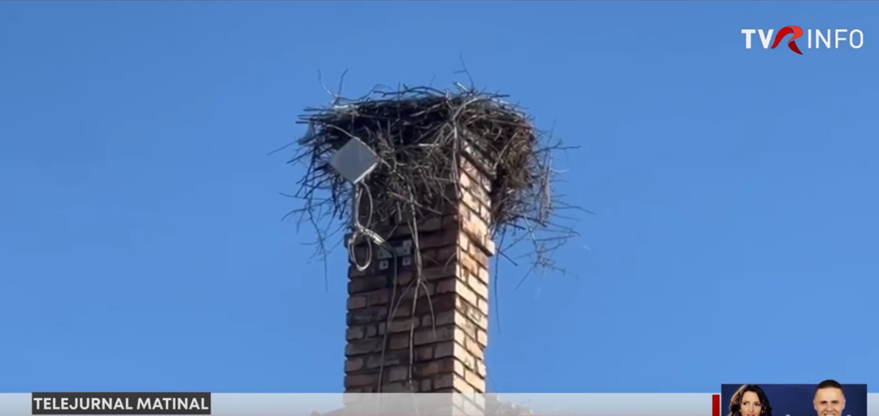 Secție de poliție, luată cu asalt… de o barză: cuibul de pe horn a lăsat clădirea fără încălzire