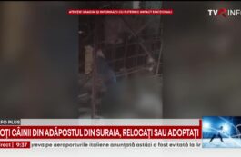 Atrocităţile de la adăpostul Suraia, dezvăluite de TVR, în dezbatere la Cotroceni