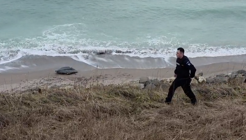 O dronă a fost descoperită pe plajă în apropierea stațiunii Costinești