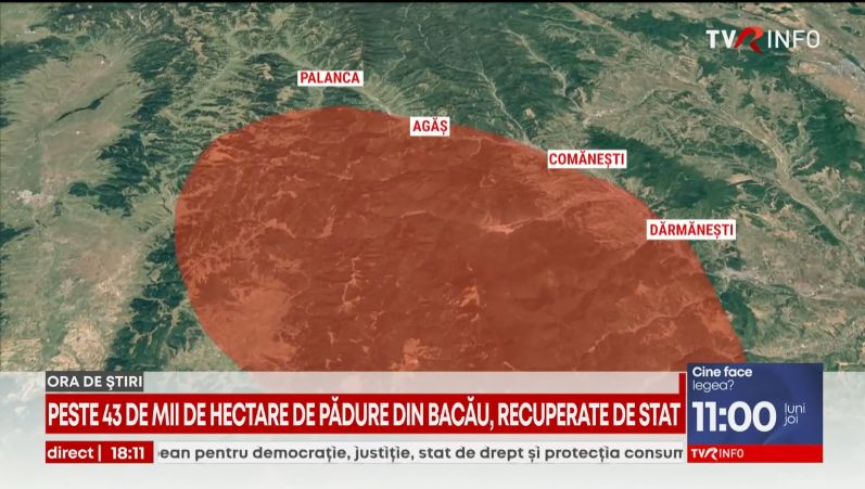 Romsilva a câștigat procesul pentru 43.000 de hectare de pădure din Bacău, retrocedate ilegal. Fostul deputat PSD Viorel Hrebenciuc a fost condamnat la doi ani de închisoare în acest dosar