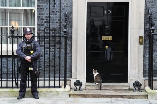 Larry, motanul din Downing Street 10, împlinește 15 ani de când e pisica oficială a premierilor britanici