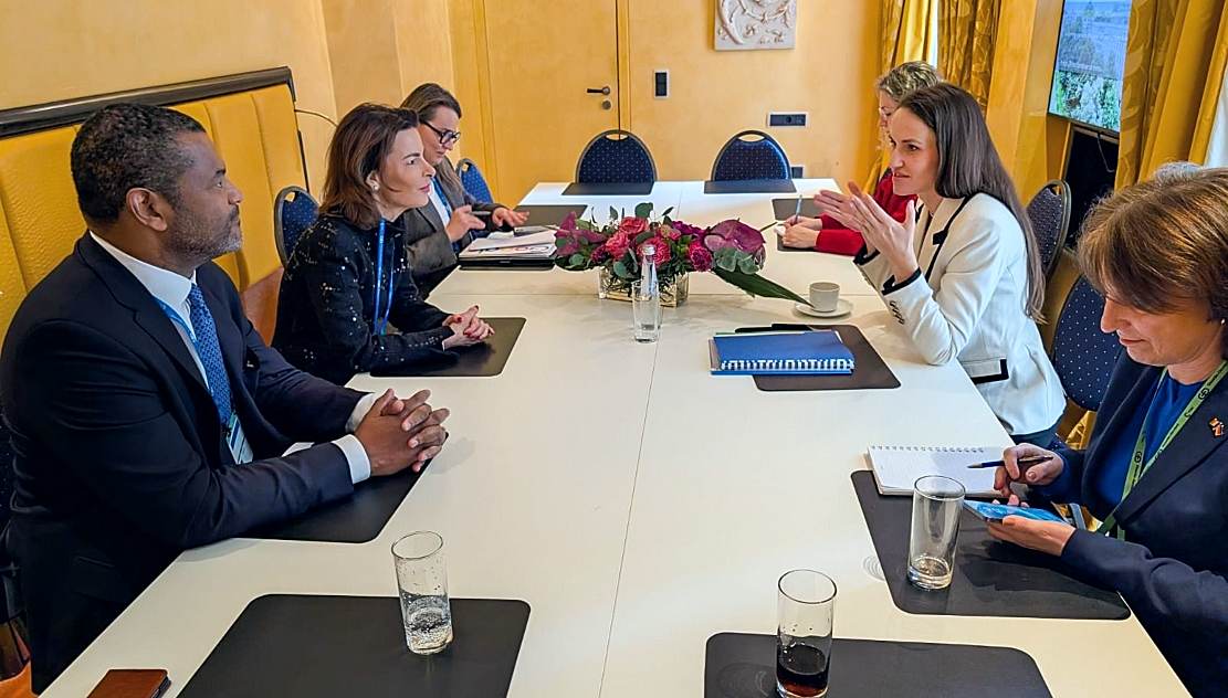 Oana Ţoiu – întâlnire cu vicepreşedinta Google Europa