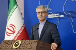 Esmaeil Baghaei Hamaneh