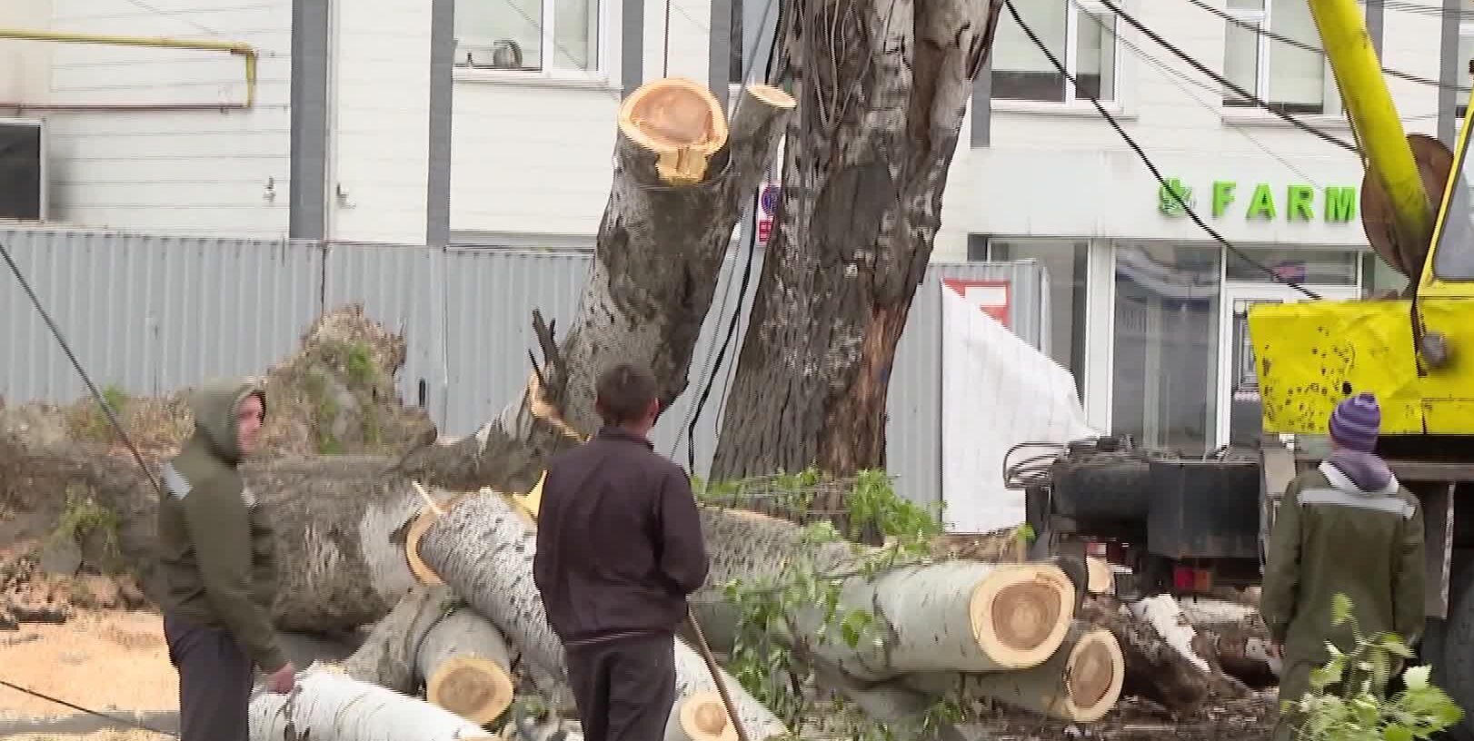 Vijelia a făcut ravagii în Republica Moldova. Rafalele au smuls zeci de copaci, au avariat mașini și au rupt cabluri electrice