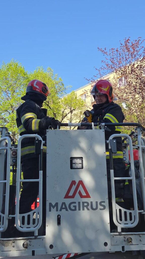 Intervenție neobișnuită la Câmpia Turzii. Pompierii au salvat un papagal aflat într-un brad la 20 de metri înălțime