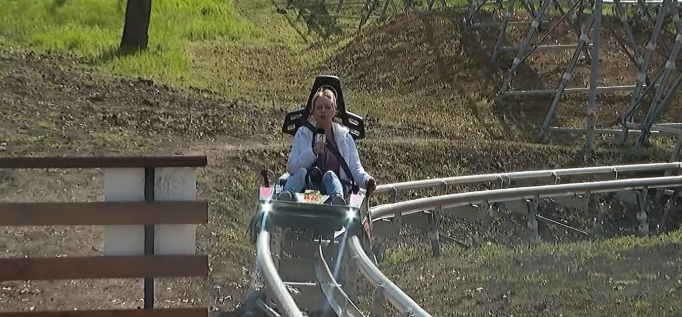 Adrenalină în Pădurea Gârboavele din Galați: piste de bob și Alpine Coaster, atracții unice