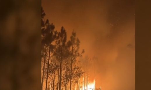 Incendii de vegetație alimentate de secetă și vânt puternic în Statele Unite