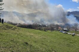 Incendiu de vegetaţie în Hunedoara. Misiunea pompierilor, îngreunată de vântul puternic