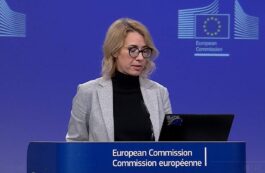 Purtătoarea de cuvânt a Comisiei, Anitta Hipper / captura video